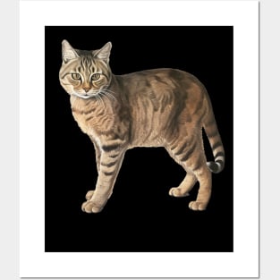 Tiger Cat Art, Love Cats Posters and Art